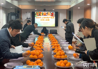 前卫柑桔荣获“2020年上海市地产优质红美人品鉴”金奖 技术赋能成就卓越品质